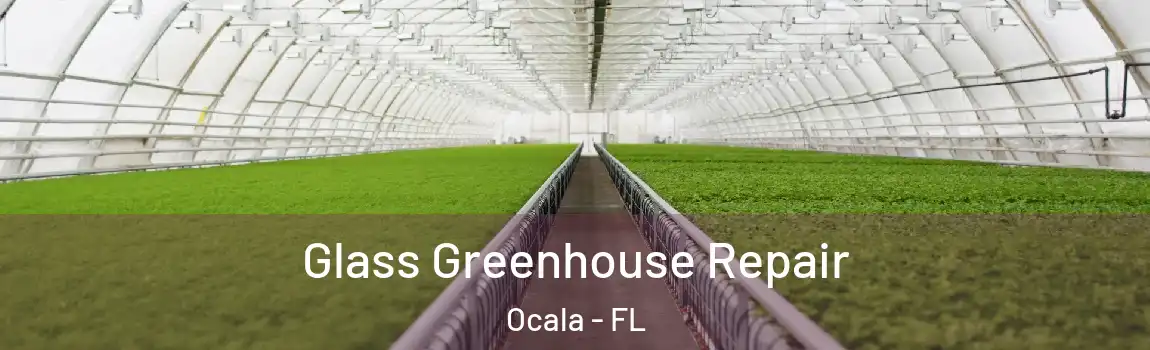  Glass Greenhouse Repair Ocala - FL